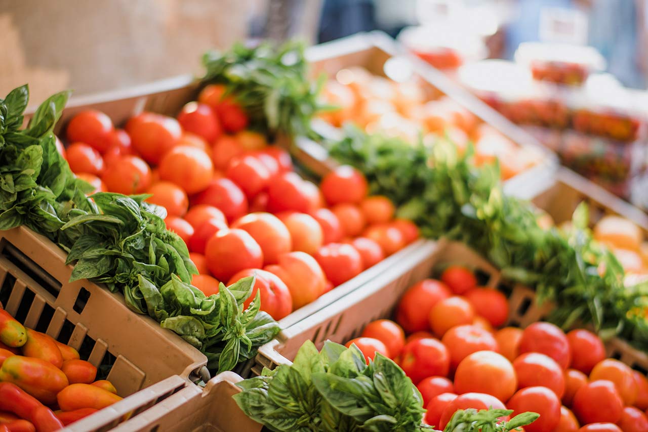 Organic Fertilizers