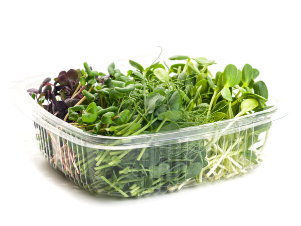 Microgreens Klasic Mix